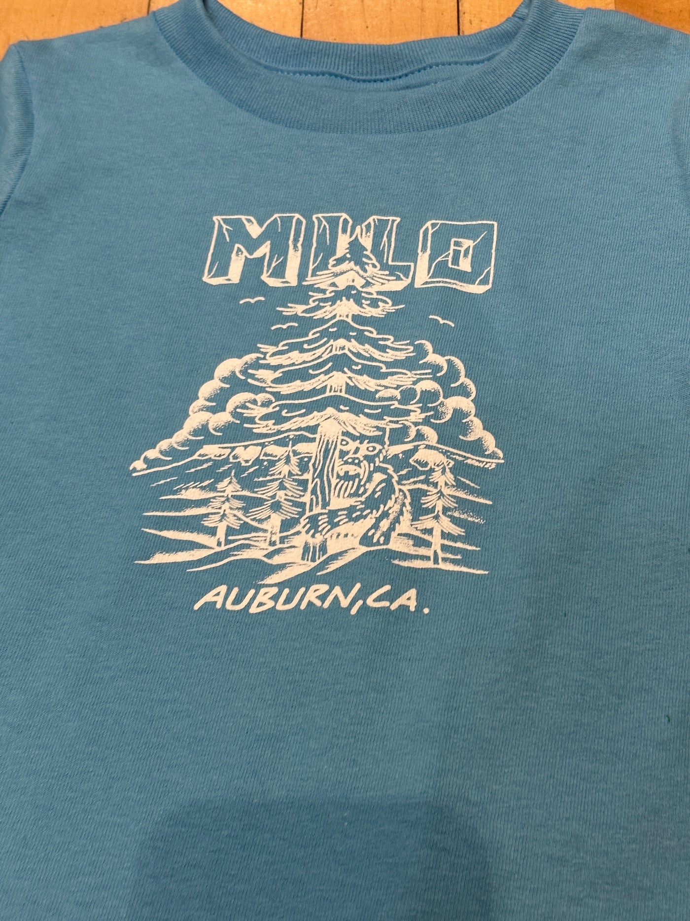 Milo Yeti Toddler Tee (Aqua Blue) 4T / Aqua Blue