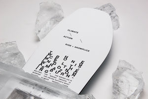 Ride x Akomplice  Psychocandy Limited Edition Snowboard