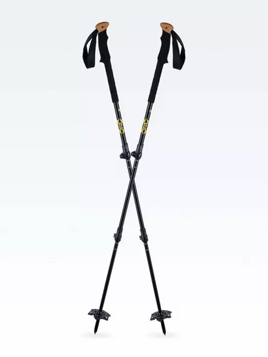Atlas All Mountain 3 Piece  Backcountry Poles